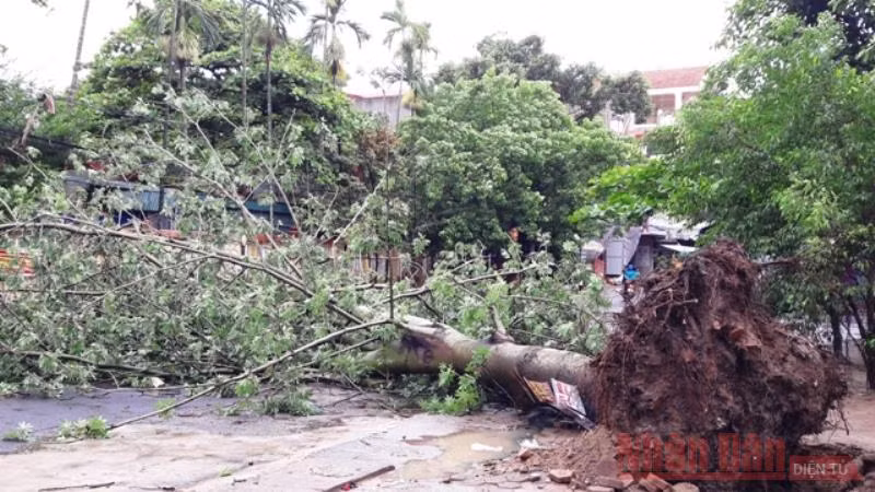 Thiên tai năm 2021 có nhiều diễn biến bất thường -0