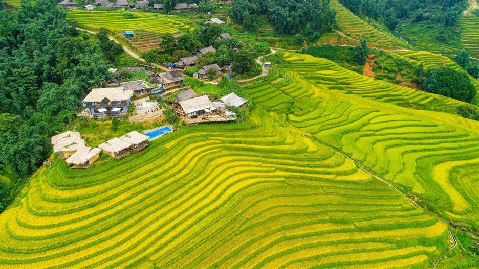 Sa Pa là điểm đến hấp dẫn thu hút khách du lịch quanh năm. 