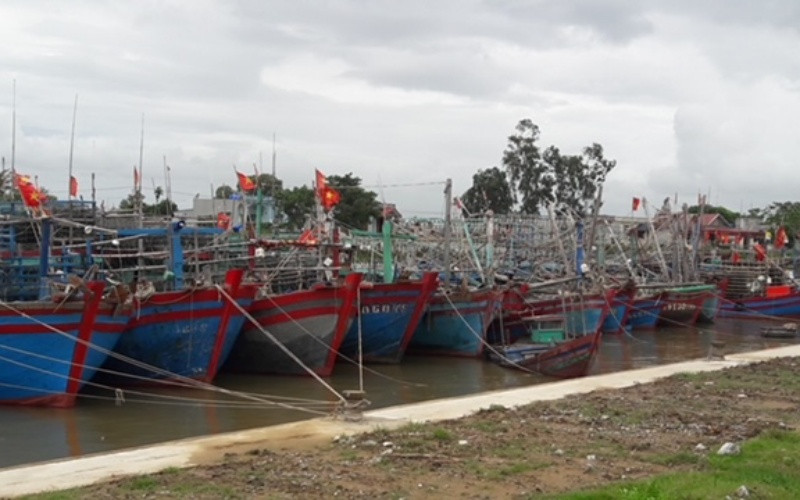 Phương tiện nghề cá neo đậu tại Âu thuyền ở xã Quảng Thạch, huyện Quảng Xương, tỉnh Thanh Hóa. Nâng cao hiệu quả khai thác, chế biến, tiêu thụ thủy sản -0