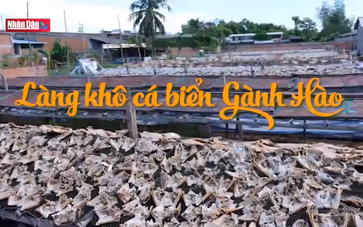 Làng khô cá biển Gành Hào