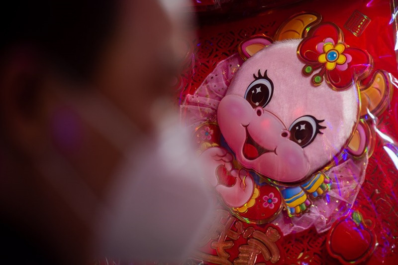 Hình dán hình con trâu ngộ nghĩnh tại chợ Pancoran. (Ảnh: Tân Hoa xã) Tet holiday -0