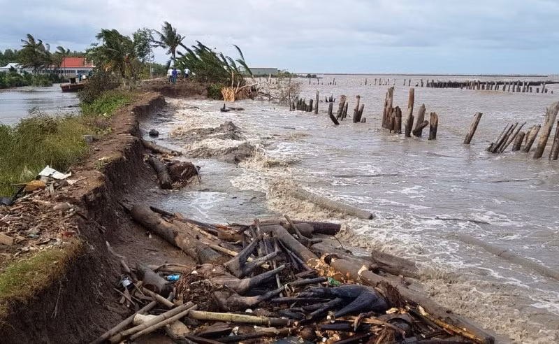 Nhiều đoạn đê ở Vàm Tiểu Dừa bị sạt lở nghiêm trọng.