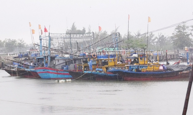 Tàu thuyền vào khu neo đậu tại âu thuyền Hồng Triều (huyện Duy Xuyên). Quảng Nam ứng phó bão số 5 trong bối cảnh dịch bệnh -0