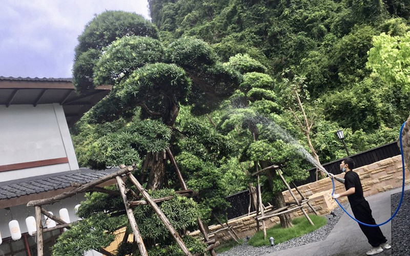 Khu nghỉ dưỡng Yoko Onsen Quang Hanh (Quảng Ninh) vẫn bố trí công việc cho người lao động trong thời gian nghỉ vì dịch bệnh. Khi “sếu đầu đàn” vượt qua giông bão -0