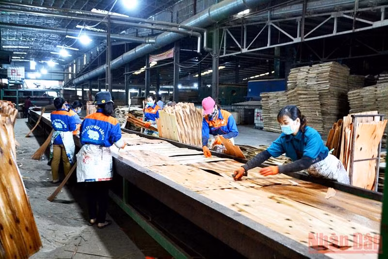 8 giải pháp nâng cao chất lượng giáo dục, đào tạo nghề khu vực miền núi phía bắc -0