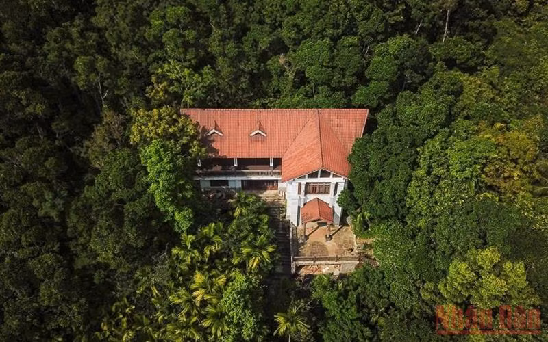 Hiện có 68 trường hợp vi phạm sử dụng đất lâm nghiệp trên khu vực bán đảo Sơn Trà. (Ảnh: Giáp Văn)