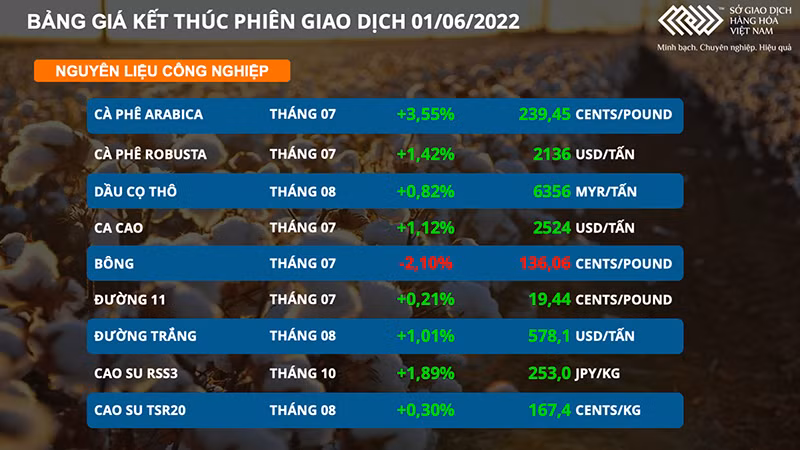 Khí tự nhiên tăng vọt, chỉ số MXV-Index năng lượng đạt kỷ lục mới -0
