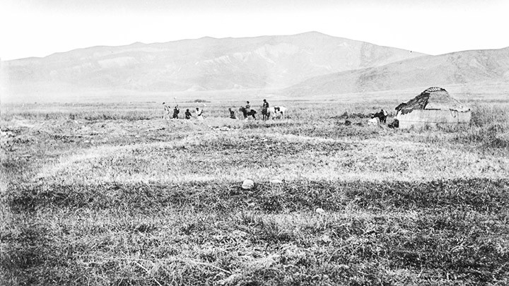 Giải mã bí ẩn về “Cái chết đen” -0