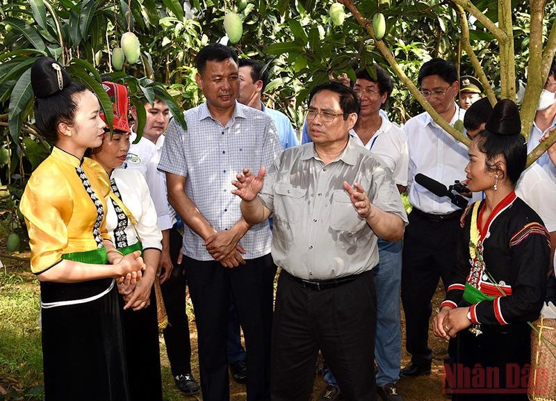 Thủ tướng Phạm Minh Chính thăm vùng sản xuất nông nghiệp tại xã Hát Lót. Thủ tướng Phạm Minh Chính khảo sát một số dự án, công trình tại Sơn La -0