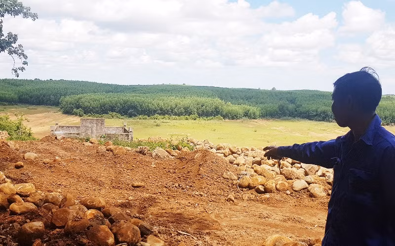 Di tích lịch sử - văn hóa Lăng mộ cụ Lâm Hoằng bị xâm phạm nghiêm trọng -0