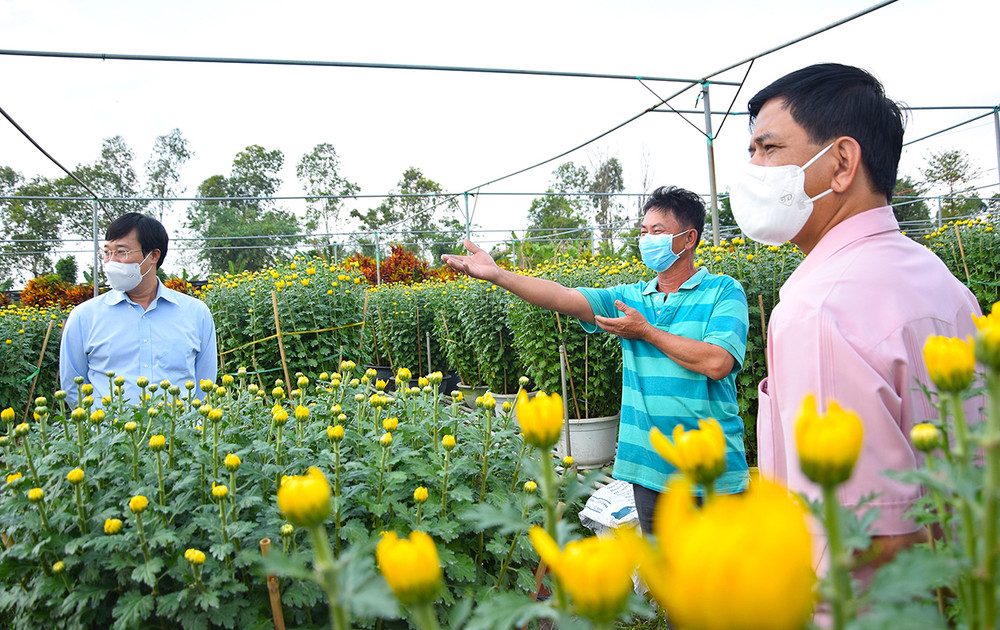 Anh Mười Lý phấn khởi khoe với Bí thư Tỉnh ủy Đồng Tháp về một vụ hoa Tết thành công ngoài mong đợi. Niềm vui của bà con trồng hoa trước thềm xuân -0