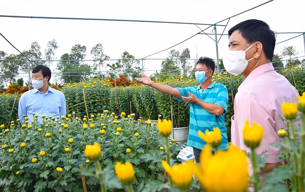 Niềm vui của bà con trồng hoa trước thềm xuân -0