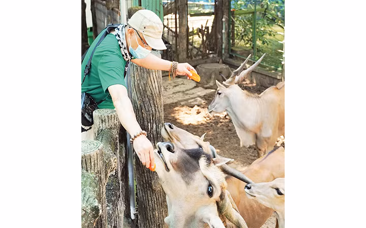 Thảo Cầm Viên Sài Gòn mở cửa trở lại từ hôm nay (5/11).