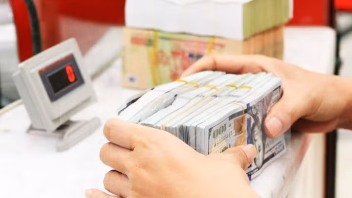 Ảnh minh họa. Nguồn: TTXVN
