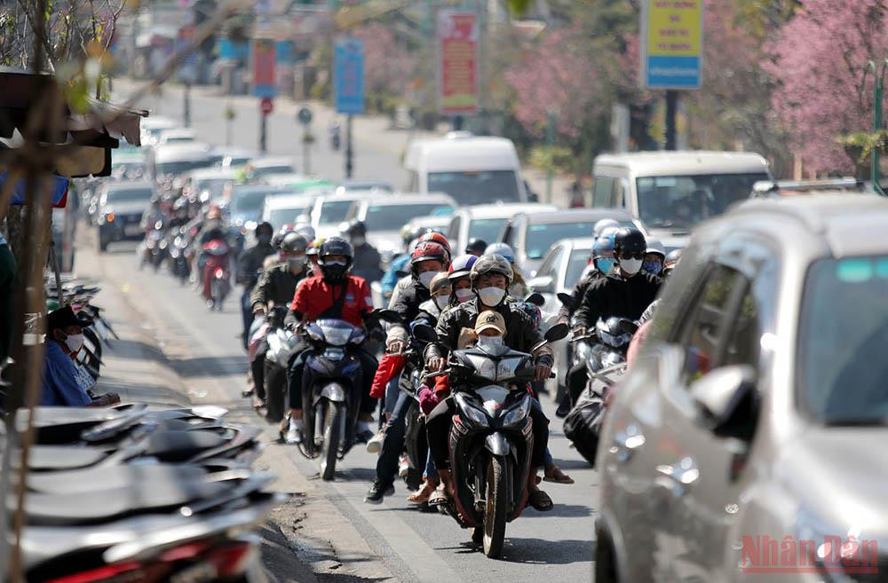 Dòng xe, dòng người nối đuôi lên Đà Lạt du xuân. Đà Lạt tấp nập du khách những ngày đầu xuân -0