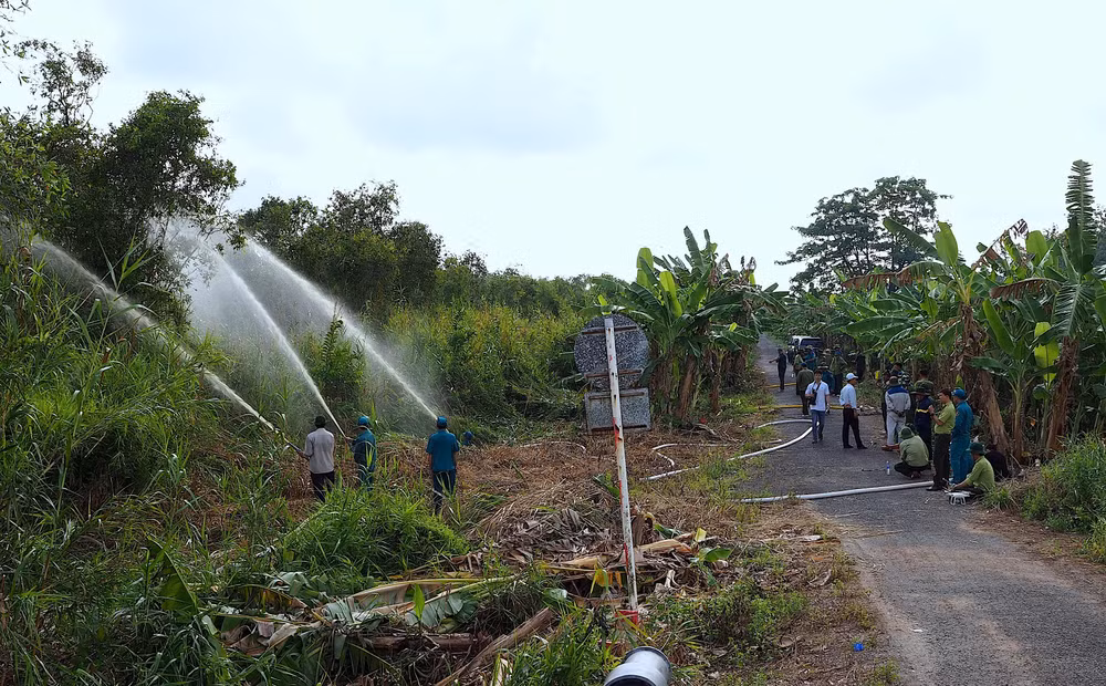 Ngành chức năng Cà Mau tăng cường diễn tập cho các chủ rừng nhằm bảo đảm công tác PCCC rừng mùa khô 2021-2022. 