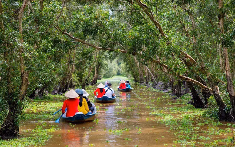 Khách du xuân rừng tràm Trà Sư, check-in cầu tre dài nhất Việt Nam -0
