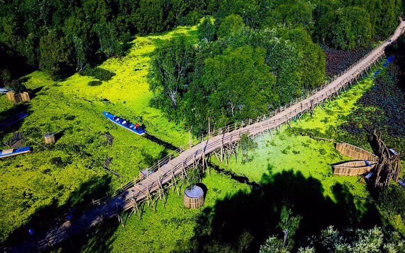 Chiếc cầu tre kỷ lục dài nhất Việt Nam tại rừng tràm Trà Sư.
