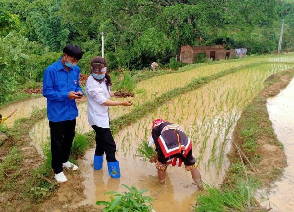 Ra đồng vận động người dân cài Bluezone ở Quảng Ninh. Thấm đẫm màu áo xanh tình nguyện trong chiến dịch vận động cài Bluezone -0