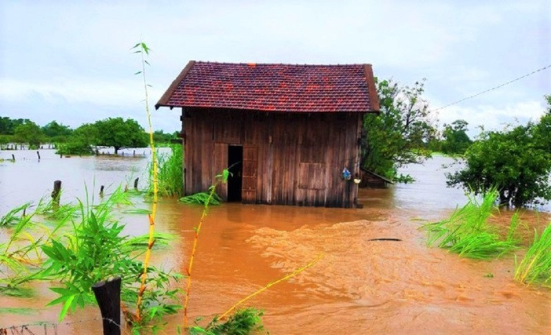 Một nhà dân ở huyện Ea Súp bị nước lũ cô lập. Mưa lớn kéo dài gây ngập lụt nhiều nơi ở Đắk Lắk -0