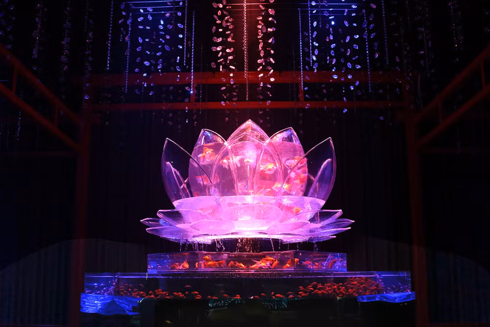 Huyền bí sắc màu Art Aquarium ở thủ đô Tokyo -5
