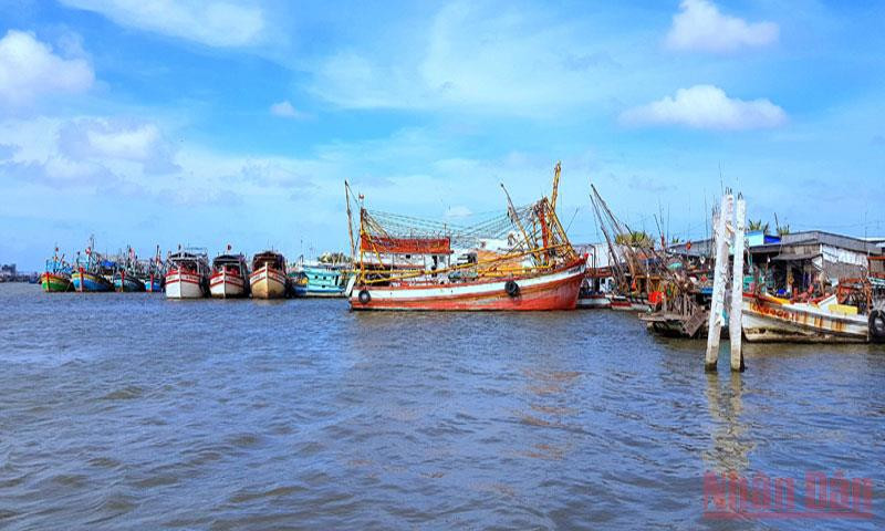 Tàu cá neo đậu tránh bão ở miền biển Sông Đốc, huyện Trần Văn Thời, tỉnh Cà Mau. 