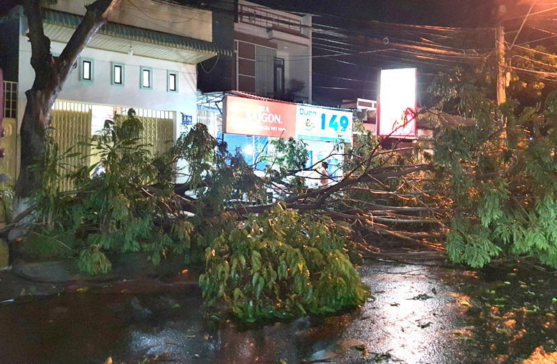 Cây cổ thụ gãy chắn ngang hai nhà số 16 và 18 đường Đoàn Thị Điểm. Mưa kèm gió mạnh làm đổ, gãy nhiều cây xanh tại TP Kon Tum -0