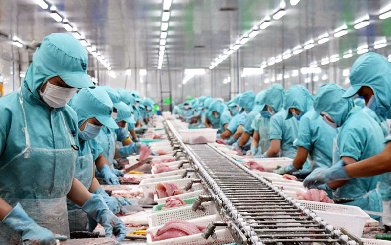 Thủy sản Việt Nam nhiều cơ hội thâm nhập sâu thị trường EU.