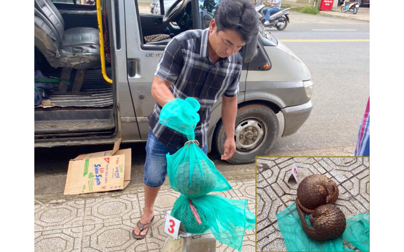 Lái xe cùng tang vật vụ việc.