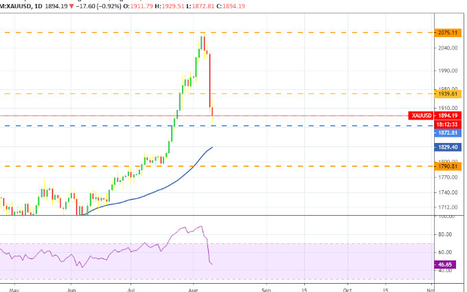Diễn biến giá vàng thế giới sáng 12-8. (Nguồn: Tradingview) Giá vàng “rơi thẳng đứng” -0