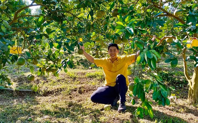 Thỏa thích trong nông trại cây ăn trái.