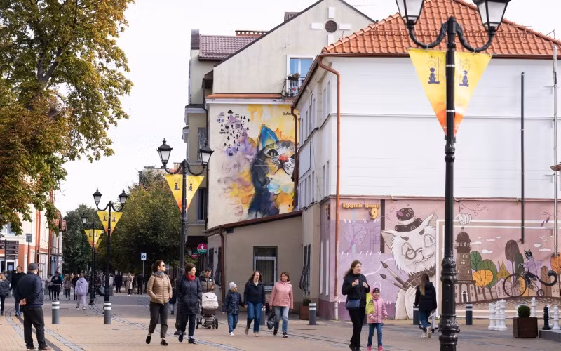 "Thủ phủ mèo" của nước Nga ảnh 3