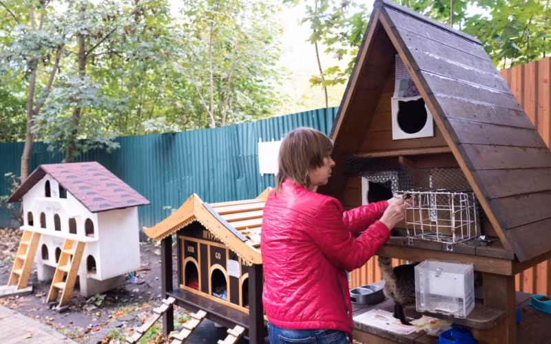 "Thủ phủ mèo" của nước Nga ảnh 7