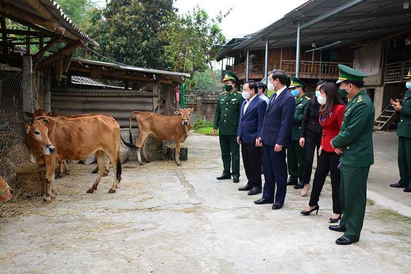 Các đồng chí lãnh đạo Tỉnh ủy, HĐND, UBND, Ủy ban MTTQ Việt Nam tỉnh Điện Biên và lãnh đạo Bộ Chỉ huy BĐBP Điện Biên trao bò giống tặng các gia đình nghèo biên giới. Trao gần trăm phần quà tặng các gia đình đồng bào DTTS trên biên giới -0
