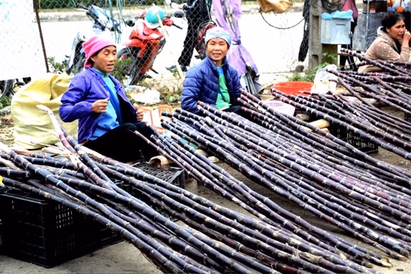 Đông vui chợ phiên vùng cao ngày Tết -0