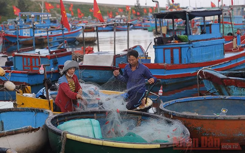 Lý Sơn – Thiên đường giữa biển khơi -0