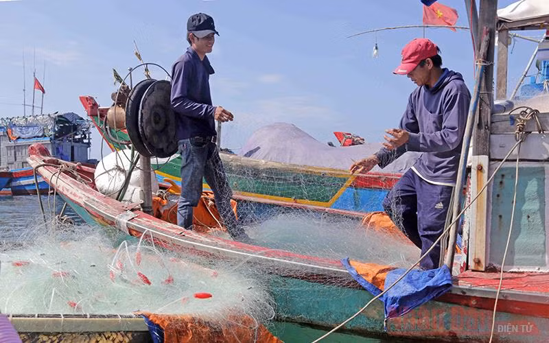 Lý Sơn – Thiên đường giữa biển khơi -0