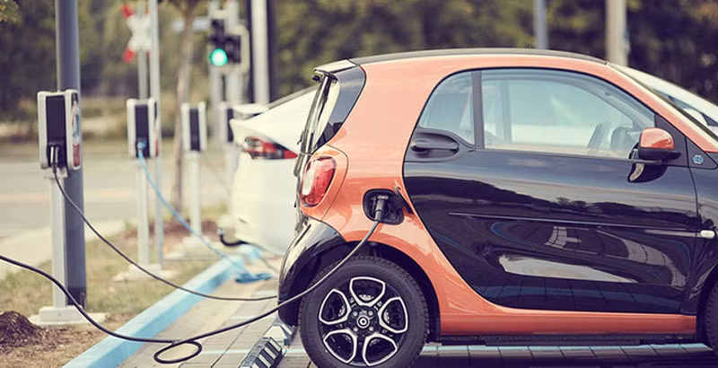 Ảnh minh họa. (Nguồn: VTV)