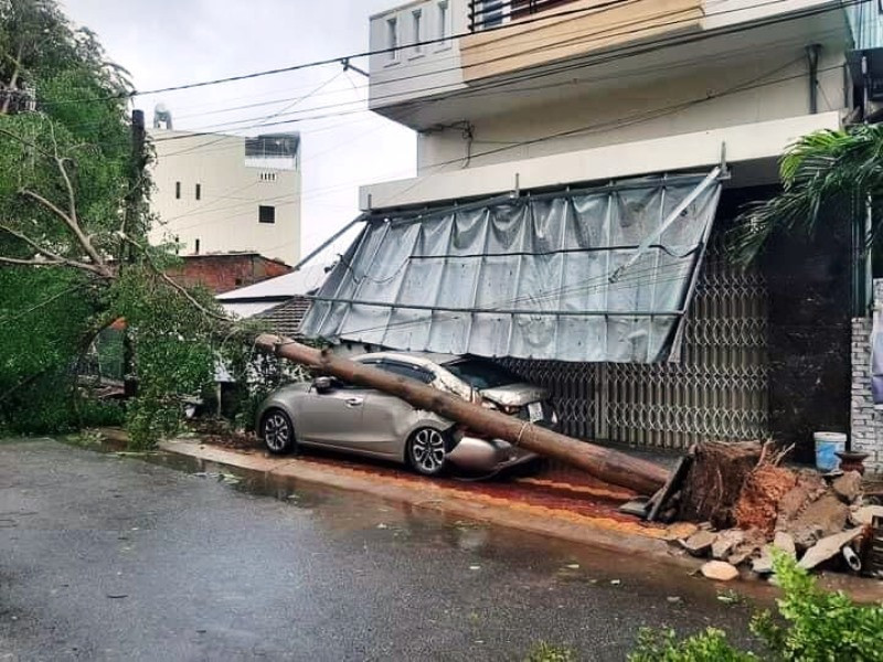 Cây xanh ngã đổ đè hư hỏng xe ô-tô của người dân TP Quảng Ngãi. a1.jpg -0