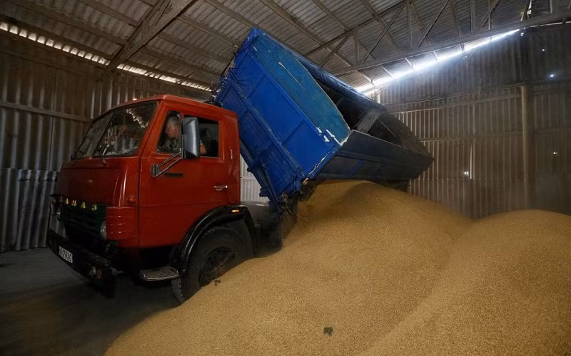 Lưu trữ lúa mạch sau thu hoạch ở Zhovtneve, Ukraine. (Ảnh: REUTERS)