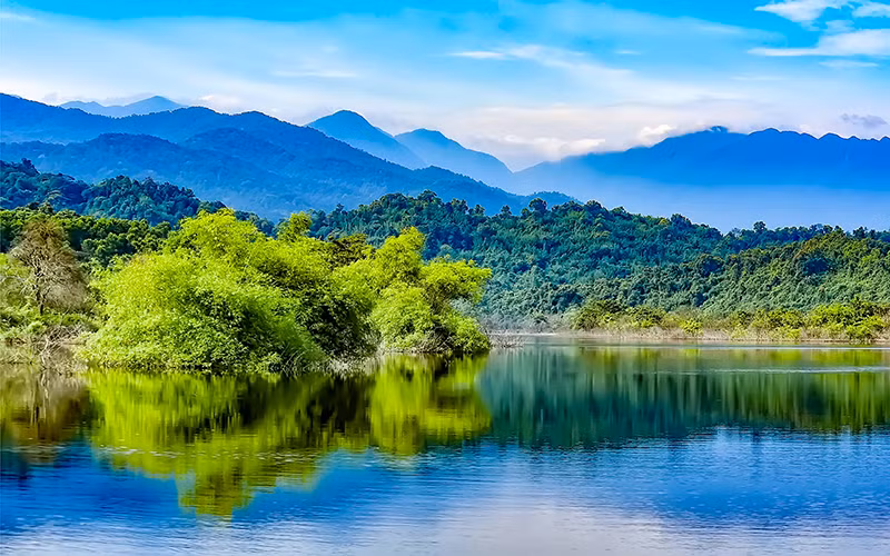 “Bệnh viện” cho động vật hoang dã bắc Trường Sơn -0