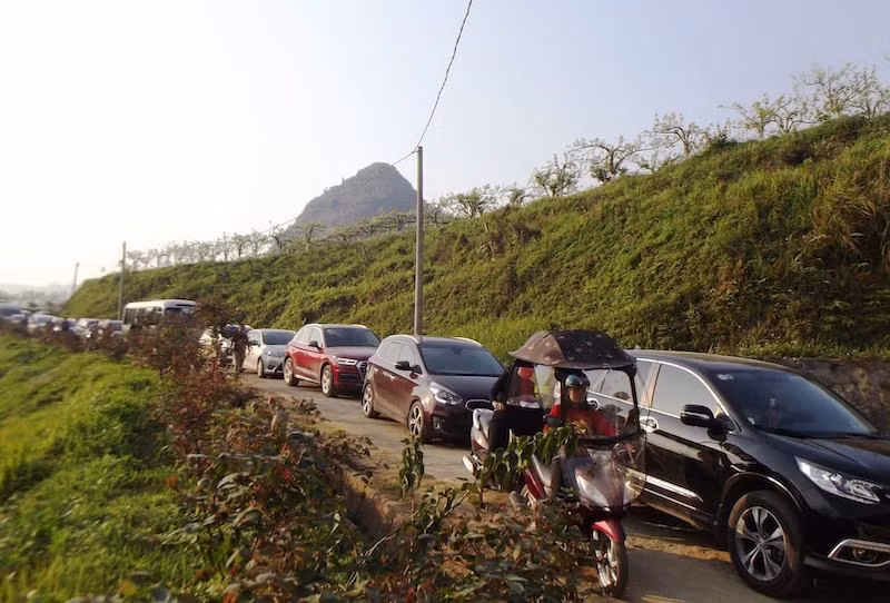 Lên Bắc Hà ngắm hoa lê trắng dịp 8-3 -2