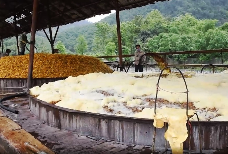 Bể âm ủ nguyên liệu giấy.
