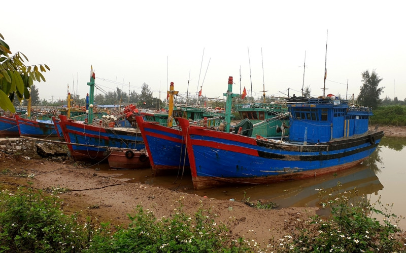 Tàu thuyền vào nơi tránh, trú bão an toàn ven biển huyện Hải Hậu (Nam Định).