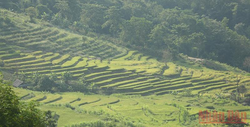 Nằm bên tuyến đường từ TP Ðiện Biên Phủ đi Sở Chỉ huy Chiến dịch Ðiện Biên Phủ tại Mường Phăng, bởi vậy trên cùng hành trình thăm Sở Chỉ huy chiến dịch du khách được chiêm ngưỡng vẻ đẹp riêng ruộng bậc thang Tà Lèng. Ruộng bậc thang giữa lòng chảo Điện Biên -0