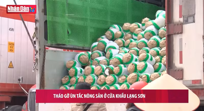 Nông sản xuất khẩu quay đầu bán tháo