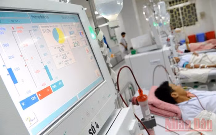 (Ảnh minh họa: Trần Hải)