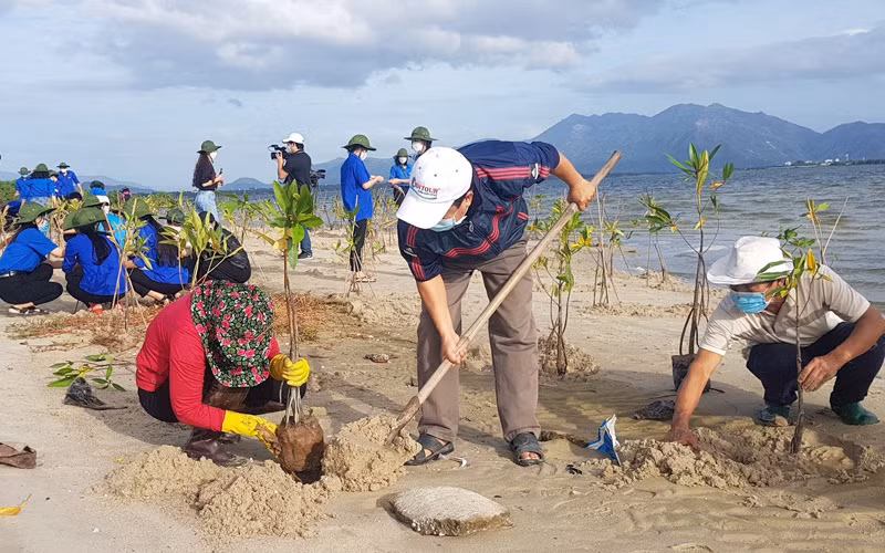 Các lực lượng tham gia trồng cây đước tại xã Cam Thành Bắc, huyện Cam Lâm, tỉnh Khánh Hòa. (Ảnh: VĨNH THÀNH)