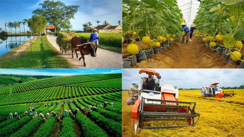 Kế hoạch triển khai Nghị quyết số 24/2021/QH15 của Quốc hội phê duyệt chủ trương đầu tư Chương trình mục tiêu quốc gia giảm nghèo bền vững giai đoạn 2021-2025.