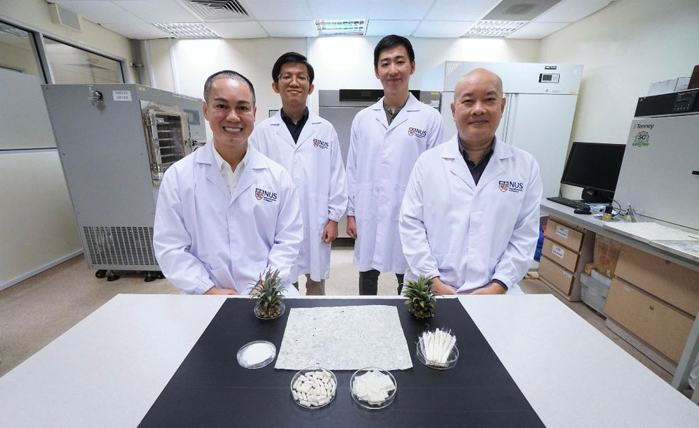 Từ trái qua: PGS Dương Minh Hải, Nguyễn Thái Thiên Phúc, Loh Jing Wen và PGS Phan Toàn Thắng. (Ảnh: NUS) Hai nhà khoa học gốc Việt sáng chế viên